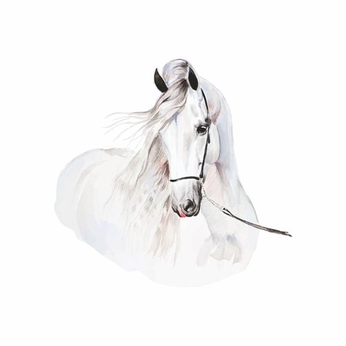 Naklejka Koń DK246 L na Arena.pl