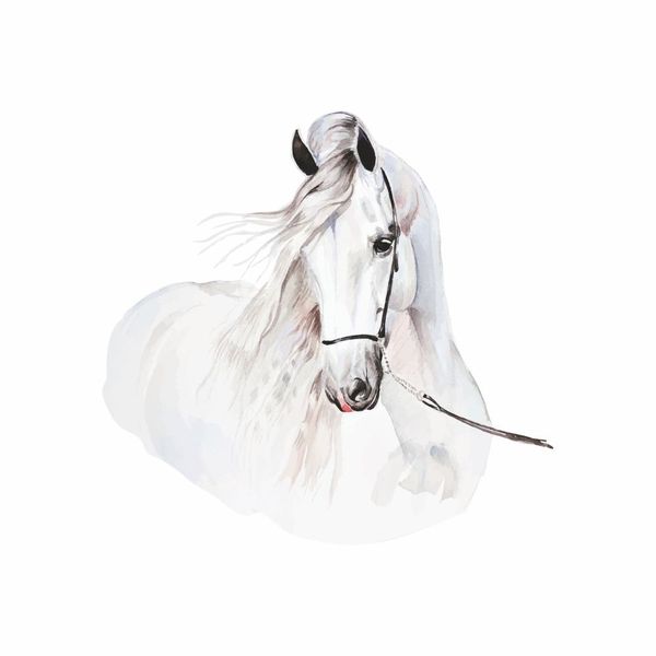 Naklejka Koń DK246 L zdjęcie 3