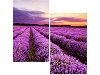 product-compare-58647948