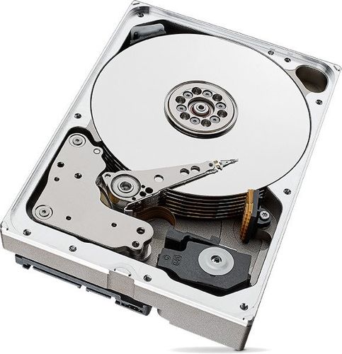 DYSK SEAGATE IronWolf ST10000VN0004 10TB na Arena.pl