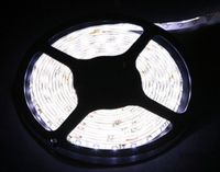 Taśma LED 2835 V 5m 300led IP65 6500K 12V 4,8W/mb