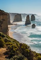 product-compare-59391743