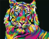 Malowanie po numerach - Tygrys kolorowy 40x50cm