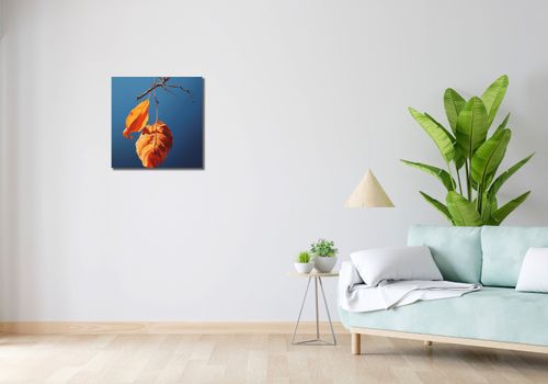 Obraz 50x50cm Ostatni Oddech Lata na Arena.pl