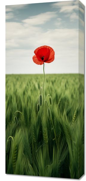 Obraz 40x90cm Samotny Mak na Polu zdjęcie 1