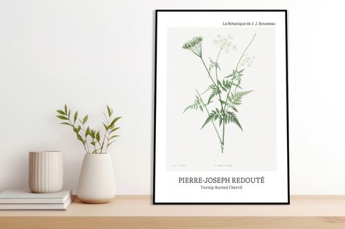 Plakat 13x18cm Design Rotted Chervil, Redoute Vintage do Salonu na Arena.pl