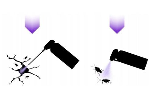 MIOTACZ NA KARALUCHY ŚRODEK NA KARALUCHY AEROZOL Z RURKĄ STRONG 400 ML na Arena.pl