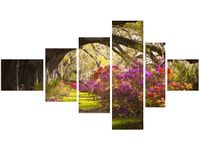 product-compare-58691802