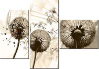 product-compare-58611668