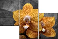 product-compare-58699375