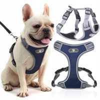 SZELKI DLA PSA TYPU GUARD BEZUCISKOWE REGULOWANE ODBLASKOWE SPACEROWE r. M