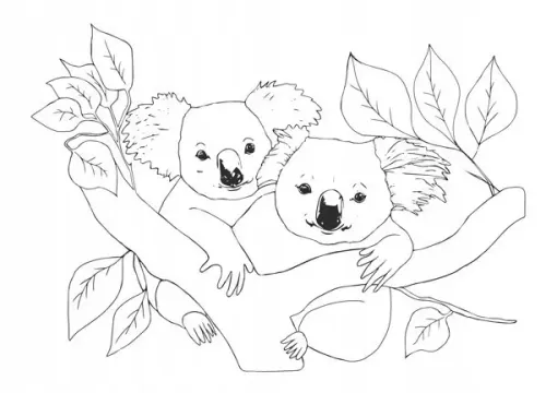 Kolorowanki Młodego Artysty Galeria 2 na Arena.pl