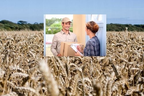 Proso żółte 25 kg zdjęcie 2