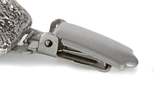 Bichon Frise - klips - 268 na Arena.pl