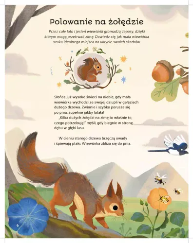 Leśne Opowieści na Arena.pl