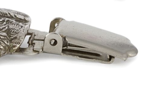 Border Terier - klips - 264 na Arena.pl