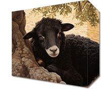 product-compare-59471152