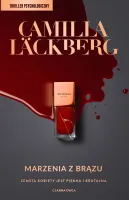 Faye. Tom 3. Marzenia z brązu