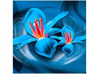 50X50CM NIEBIESKIE KOSMICZNE KWIATY JAKUB BANAŚ OBRAZ