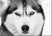 product-compare-58710124