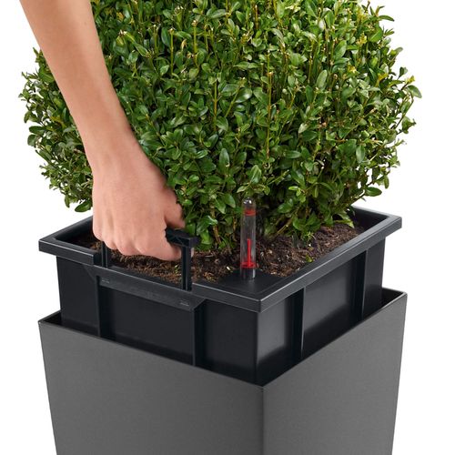 DONICA LECHUZA CUBICO 40 PREMIUM ESPRESSO na Arena.pl