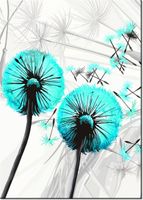 60CM 50CM OBRAZ ŚCIENNY DMUCHAWCE TURKUSIE DRUK PŁÓTNO