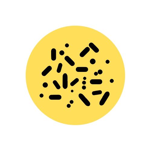 TABLETKI do SZAMBA Sanidenn 52 TABLETKI BAKTERIE do SZAMBA na Arena.pl