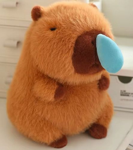 KAPIBARA ŚPIĄCA PLUSZAK ZABAWKA MASKOTKA PLUSZOWA PRZYTULANKA MIĘKKA 30CM na Arena.pl