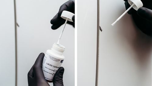 lakier zaprawkowy zaprawka samochodowy skoda ls9r s9r 2y 2y2y bila moon na Arena.pl