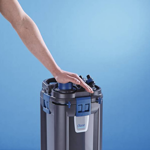 Oase BioMaster 600 na Arena.pl