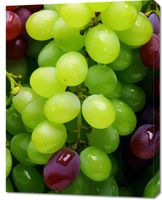 product-compare-59485409