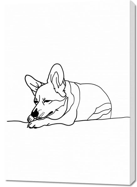 Obraz 70x100cm Śpiący Corgacz zdjęcie 1
