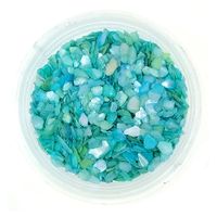 Płatki muszli kruszonej do paznokci ozdoby do hybrydy żelu CS31