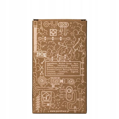 Pan Drwal Steam Punk After Woda po goleniu 100 ml . na Arena.pl