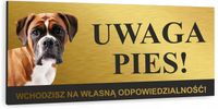 Tabliczka UWAGA ZŁY PIES BOKSER złota aluminiowa