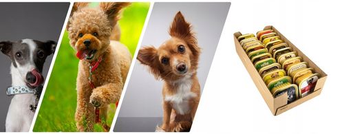 Karma Mokra Dla Psa Tacka Pakiet Zestaw Mieszany mix smaków 150g x 22szt na Arena.pl