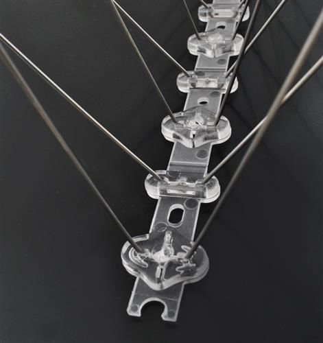 Kolce na ptaki na Arena.pl