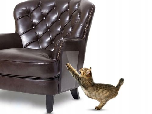 Folia Ochronna Dla Psów Kotów Drapak Gruba Samoprzylepna + Zestaw 152x50cm na Arena.pl