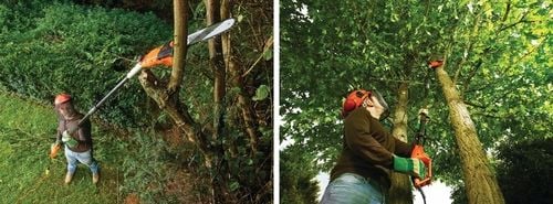 PIŁA ELEKTRYCZNA ŁAŃCUCHOWA NA WYSIĘGNIKU 250MM DO GAŁĘZI 800W na Arena.pl