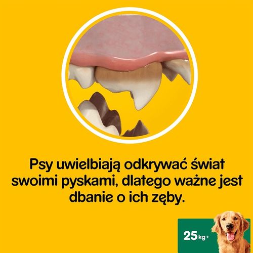 Pedigree Dentastix Przysmak Dentystyczny Dla Psów Dużych Ras 2 + 1 GRATIS na Arena.pl