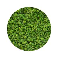 BioIce moss Light Green Chrobotek jasnozielony 25g