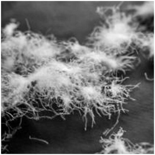 Poduszka z Puchu do łóżeczka 40x60 na Arena.pl