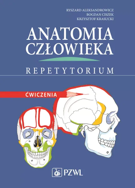 Anatomia człowieka. Repetytorium zdjęcie 1
