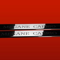 Listwa progowa RENAULT MEGANE MK2 CABRIO Stal nierdzewna 304 połysk 2szt