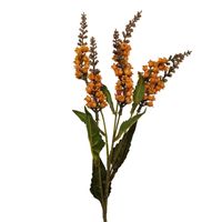 Konwalia jesienna pomarańczowa