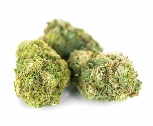 Susz konopny CBD AK 47 SUPER AMSTERDAM 1g na Arena.pl