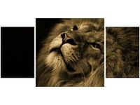 product-compare-58644244