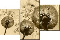 60 90CM OBRAZ 3 ELEM DMUCHAWCE KREMOWYM TLE ŚCIENNY DRUK PŁÓTNO