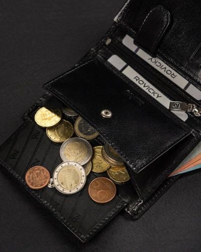 elegancki, skórzany portfel męski - rovicky na Arena.pl