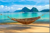 product-compare-58694957